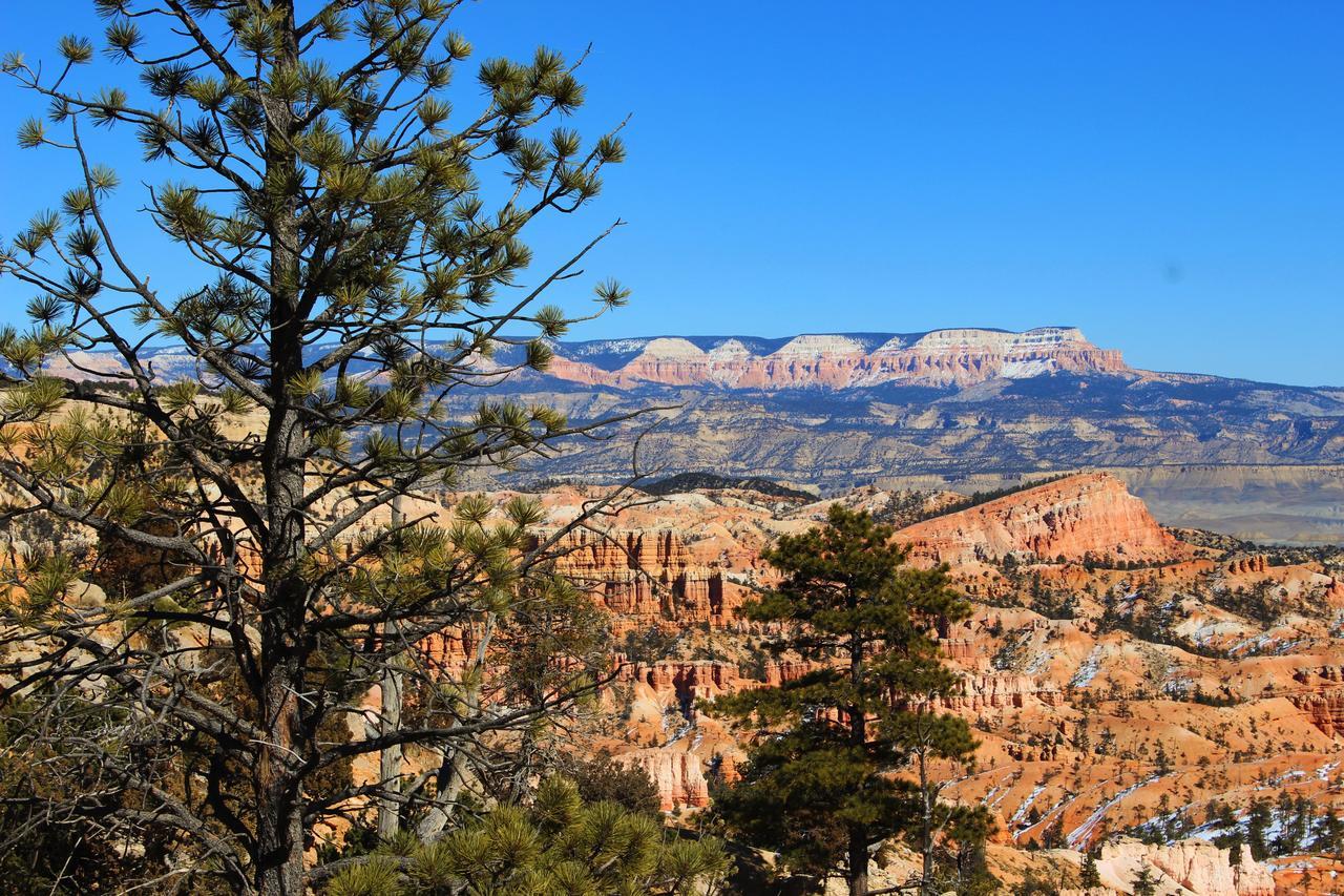 Bryce Valley Lodging Tropic Ngoại thất bức ảnh